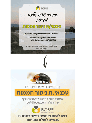 רונה תסתכלי רגע - מפגש עבודה אישי בקנבה לשיפור עיצובים ושיווק